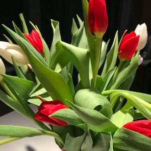 Meet your Posher, Dawn